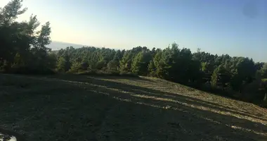 Terrain dans Kassandrino, Grèce