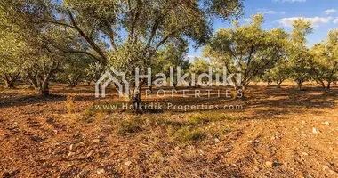 Plot of land in Kalyves Polygyrou, Greece