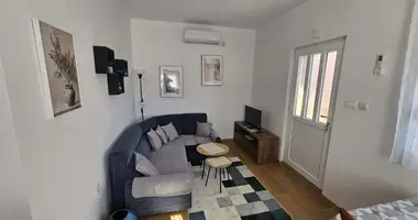 Wohnung 1 Schlafzimmer in Montenegro