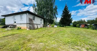 House in Piatryskauski sielski Saviet, Belarus