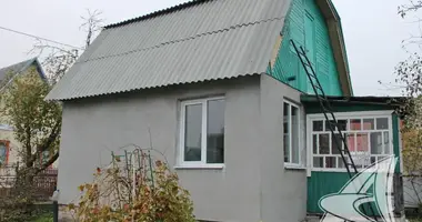 Haus in Telminski sielski Saviet, Belarus
