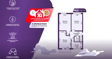 3 room apartment in Sluck, Belarus