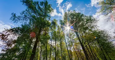 Инвестиционная в Демидовичский сельский Совет, Беларусь