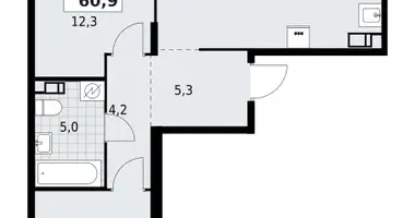 Mieszkanie 2 pokoi w Krasnoye Selo, Rosja