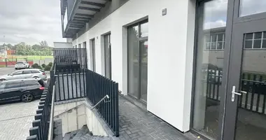 3 room apartment in Prienai, Lithuania