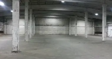 Warehouse 6 480 m² in Serpukhov, Russia