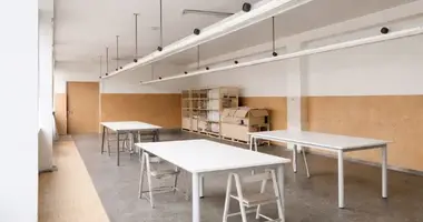 Nieruchomości komercyjne 897 m² w Olita, Litwa