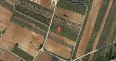 Parcela en Municipality of Markopoulo Mesogaias, Grecia