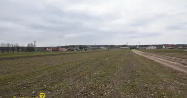 Parcela en Piekalin, Belarús