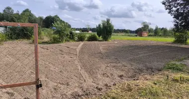Plot of land in Saskelevo, Russia