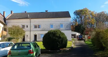 Maison 10 chambres dans Autriche