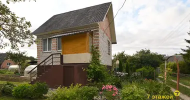 Дом в Лошанский сельский Совет, Беларусь