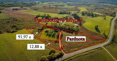 Plot of land in Sirvintos, Lithuania