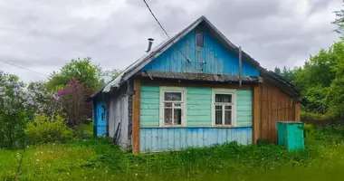 House in Haranski sielski Saviet, Belarus