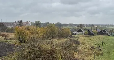 Дом в Мир, Беларусь