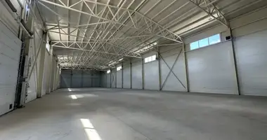 Warehouse 1 356 m² in Shchyolkovo, Russia