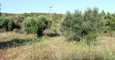 Terrain dans Municipality of Sithonia, Grèce