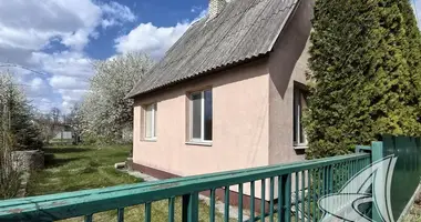 House in Telminski sielski Saviet, Belarus