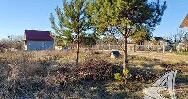 Plot of land in Znamienski sielski Saviet, Belarus