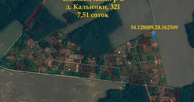 Terrain dans Zodzinski sielski Saviet, Bélarus