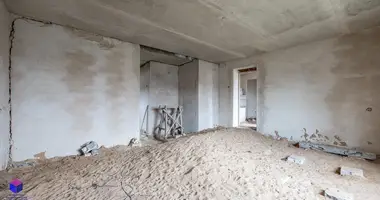 Haus in Usda, Belarus