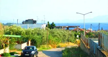 Terrain dans Portariá, Grèce