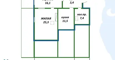  in Piatryskauski sielski Saviet, Belarus