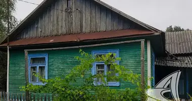 Haus in Haradziecki sielski Saviet, Belarus