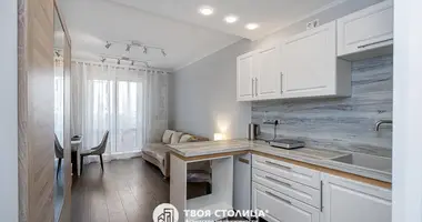 Квартира 1 комната в Копище, Беларусь