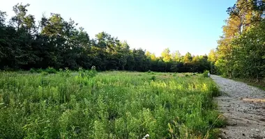 Участок земли в Лодзь, Польша