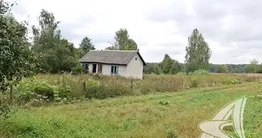 Terrain dans Lieninski sielski Saviet, Bélarus