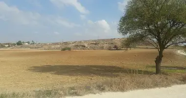 Terrain dans Ergates, Chypre