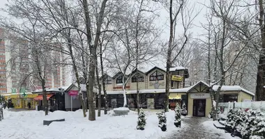 Commercial property 32 m² in Minsk, Belarus