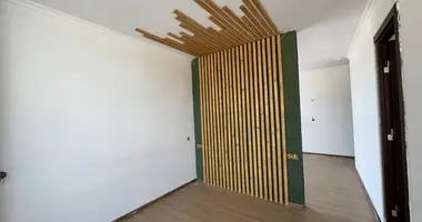 Квартира 2 комнаты в Боржоми, Грузия