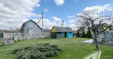 Plot of land in Muchaviecki sielski Saviet, Belarus