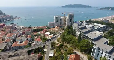 Propiedad comercial en Montenegro