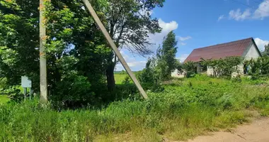 Casa en Babaunianski sielski Saviet, Belarús