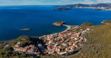 Villa in Radenovici, Montenegro