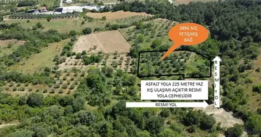 Nieruchomości inwestycyjne 4 m² w , Turcja