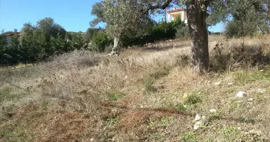 Terrain dans Nikiti, Grèce