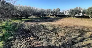 Участок земли в Копер, Словения