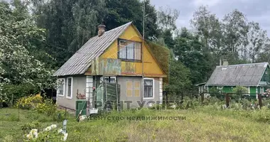 Dom w Muchaviecki sielski Saviet, Białoruś