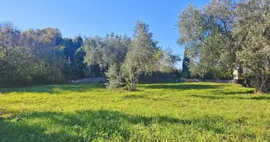 Участок земли в Radici, Хорватия