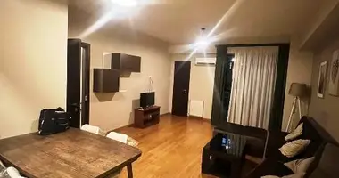 Apartment for rent in Tbilisi, Vake in Tbilisi, Georgia