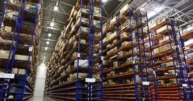 Lager 9 000 m² in Obuchowo, Russland