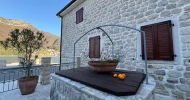 Коммерческое помещение 300 м² в 101, Черногория