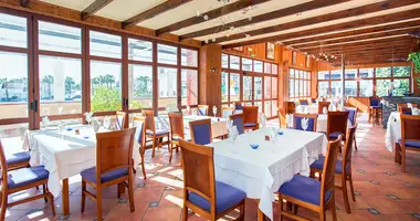 Gewerbefläche 240 m² in Abadin, Spanien