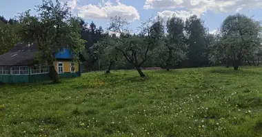 Casa en Viazynka, Belarús