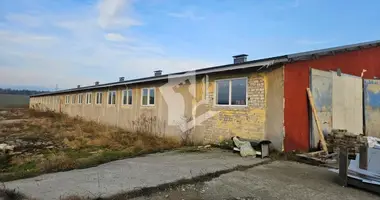 Производство 600 м² в Аронова Слобода, Беларусь