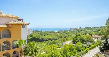 2 bedroom apartment in Dehesa de Campoamor, Spain
